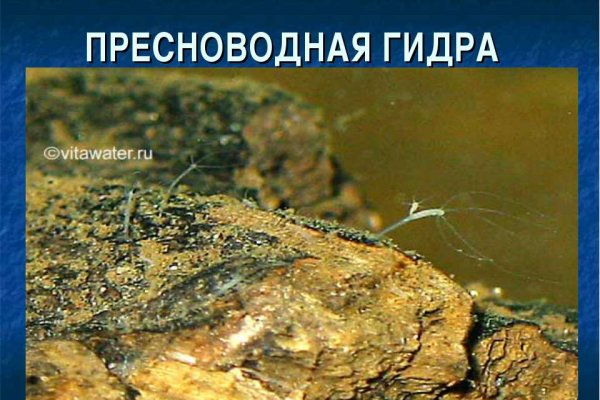 Кракен москва наркотики