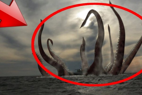 Kraken торговая площадка ссылка