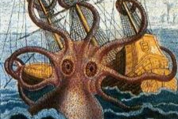 Kraken 25 at
