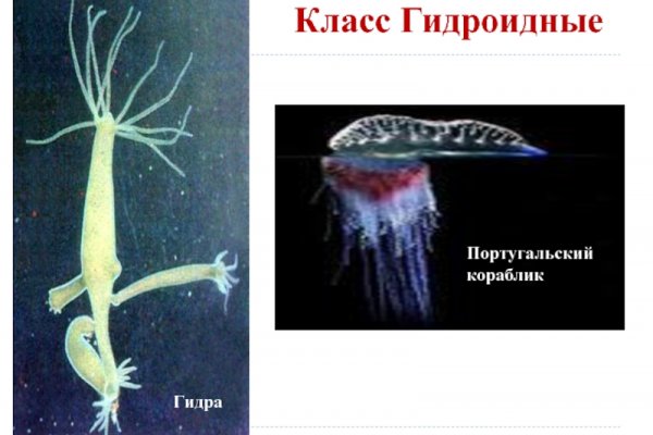 Кракен даркнет зеркало