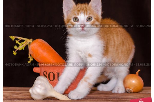 Сайты по продаже наркотиков