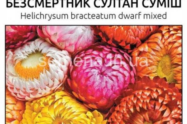 Kraken вход kraken torion