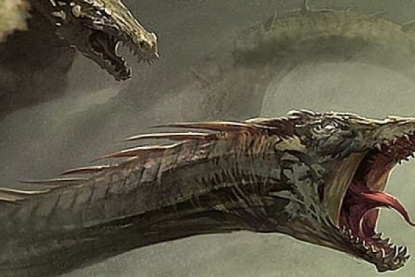 Kraken 18