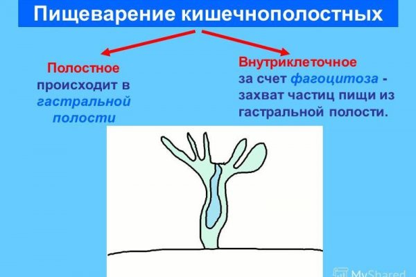 Кракен даркет