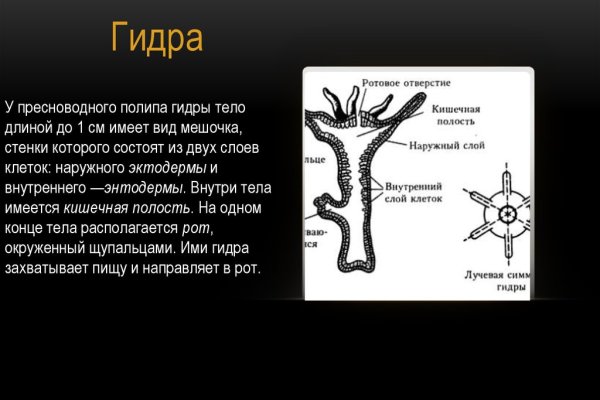 Kraken ссылка на сайт актуальная