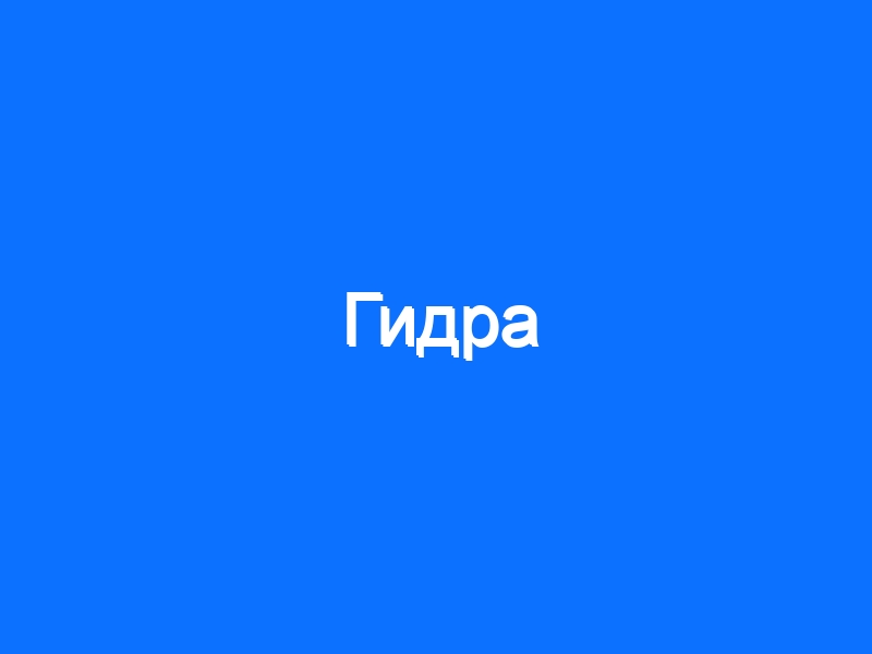 Кракен активная ссылка