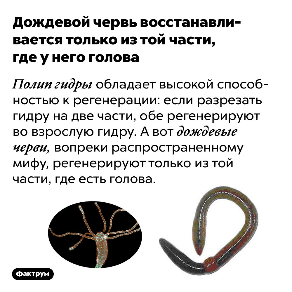 Что продают на кракене