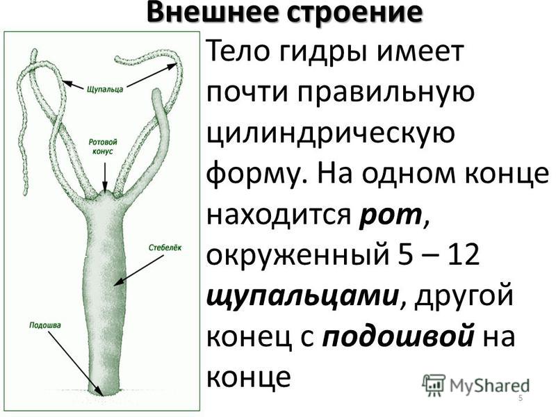 Как войти в даркнет